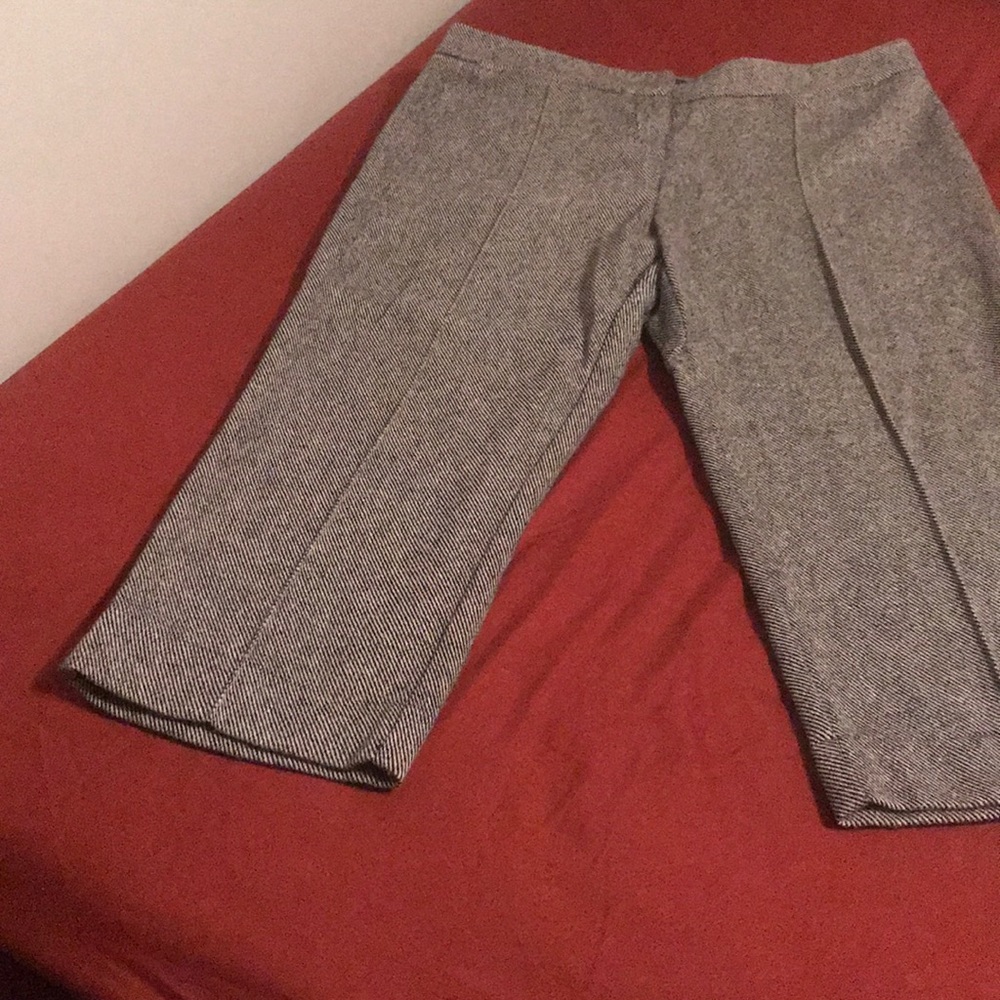 Dressy Capri